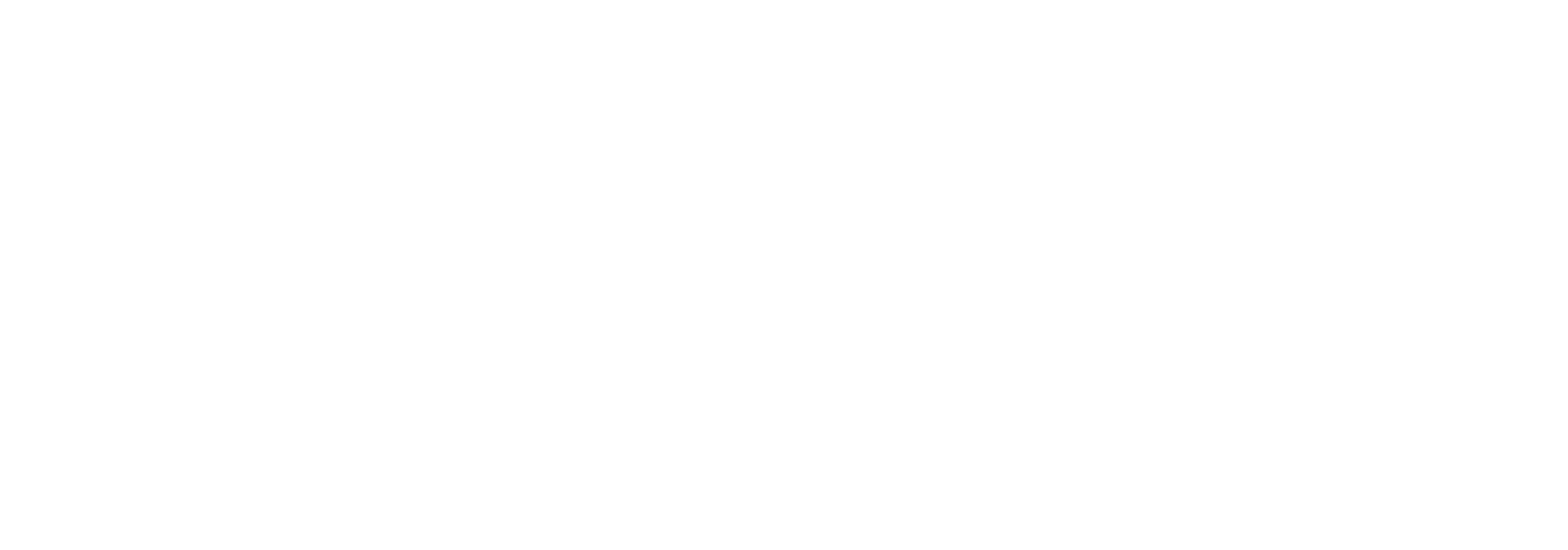 Weber_Logo_white Weber_Logo_white